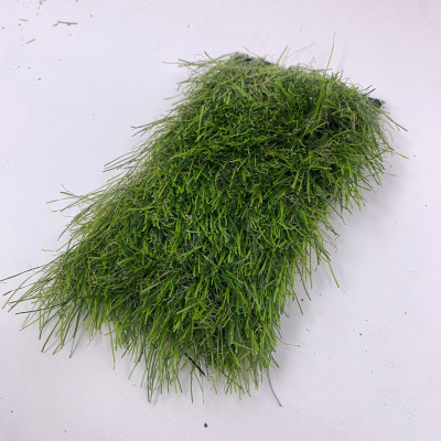 Искусственная трава Август 50 мм