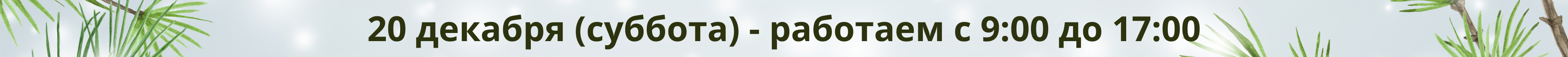 График работы