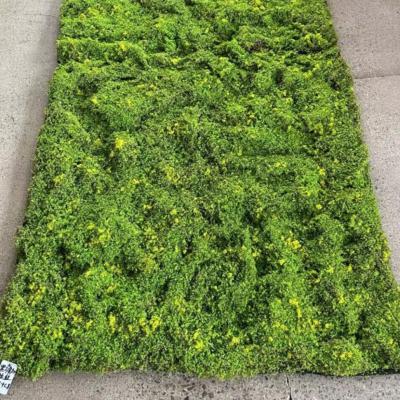 Мох MPA062 Yellow