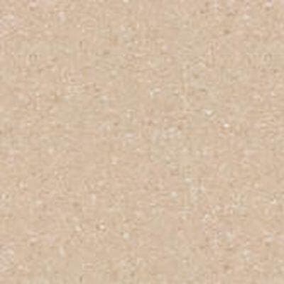 Гомогенный линолеум Tarkett Tempo plus 1007 2м