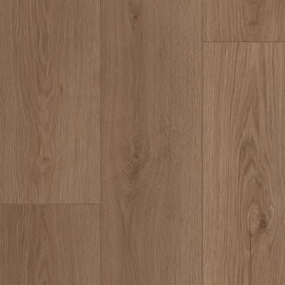 Линолеум Tarkett Стимул Олбани 3