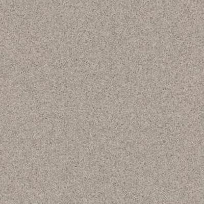 Гомогенный линолеум Tarkett Primo plus 313 2м