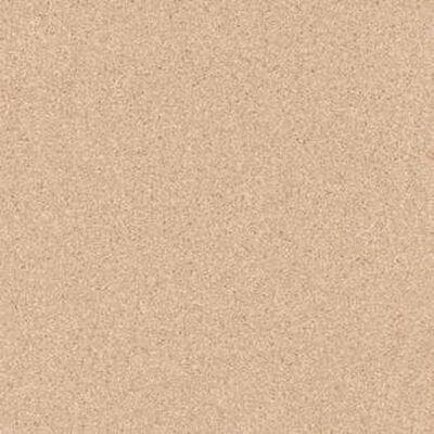 Гомогенный линолеум Tarkett Primo plus 302