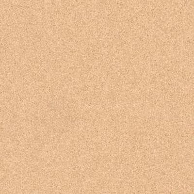 Гомогенный линолеум Tarkett Primo plus 304