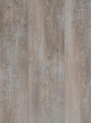 Ламинат Tarkett Синема Дитрих NL