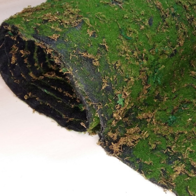 Мох Лесной - № 8