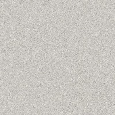 Гомогенный линолеум Tarkett Primo plus 316 2м