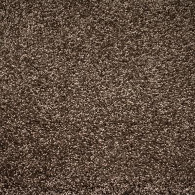 Ковер Tessoro (коричневый)