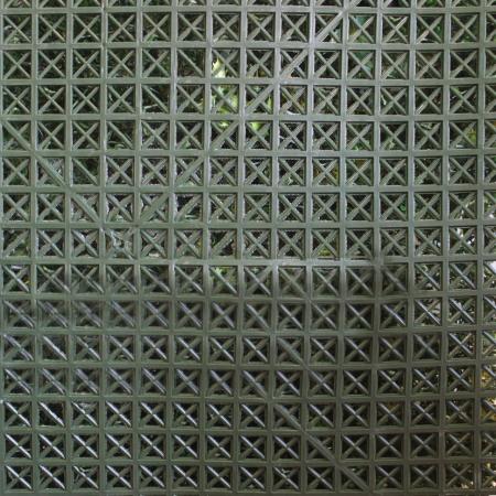 декоративные растения в модулях