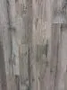 Ламинат Kastamonu Rex Дуб Дербент 007