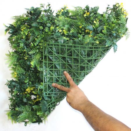 декоративные растения в модулях