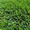 Искусственная трава Topi Grass 40 (12000 Dtex)