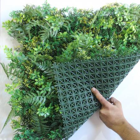 декоративные растения в модулях