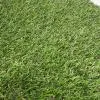 Искусственная трава Lux Grass 20 мм
