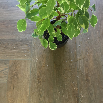 Замковый кварцвинил (SPC) Afloor BM 005H