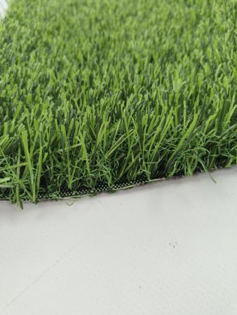 Искусственная трава Bellinturf Green 35
