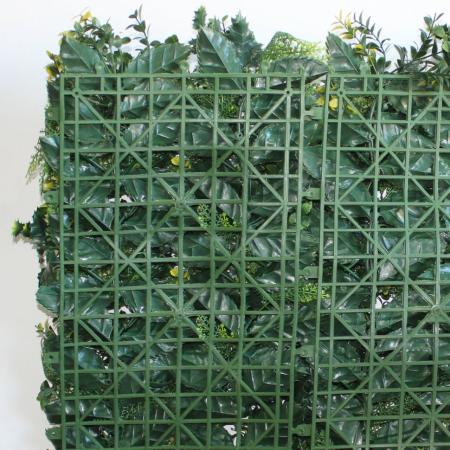 декоративные растения в модулях