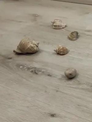 Замковый кварцвинил (SPC) Aspenfloor Natural Touch Дуб Снежный