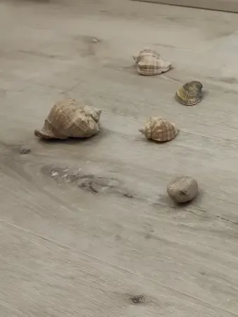 Замковый кварцвинил (SPC) Aspenfloor Natural Touch Дуб Снежный