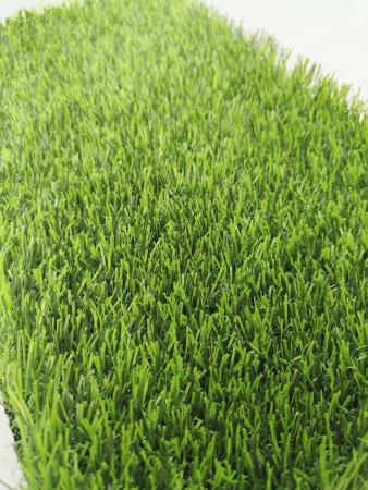 Искусственная трава Bellinturf Green 35