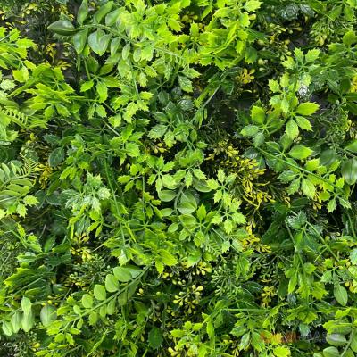 Искусственная трава в модулях Дизайн НА-203 50х50