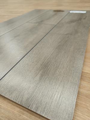 Ламинат Kastamonu Indigo Вяз Бонго 634