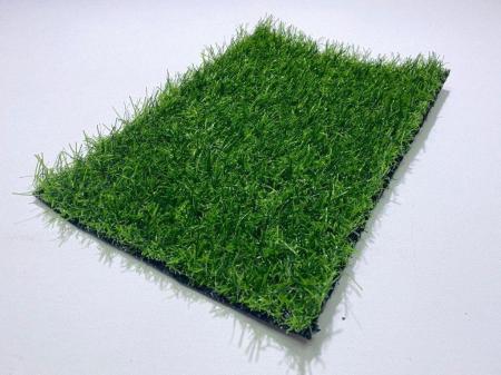 Искусственная трава Eco Green 25