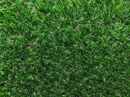 Газон с высоким ворсом