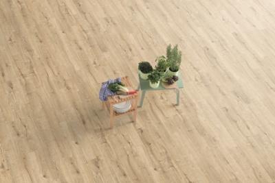 Ламинат Egger Pro Classic Дуб Даннингтон светлый (8/33)