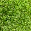 Искусственная трава Grass Mix 18 мм, ширина 3 м