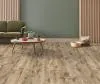 Линолеум Ideal Imperia Efendi 3 2,5 м