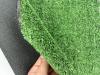 Искусственная трава Comfort Grass 8 мм Искусственная трава Comfort Grass 8 мм