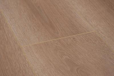 Ламинат Tarkett Тайга первая уральская Дуб свет-коричн