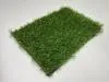 Искусственная трава Eco Grass 25