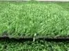 Искусственная трава Comfort Grass 8 мм, ширина 2 м