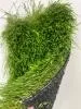 Искусственная трава Premium grass 50, ширина 4 м