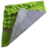 Мох