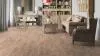 Виниловая плитка ЛВТ Tarkett Lounge Woody